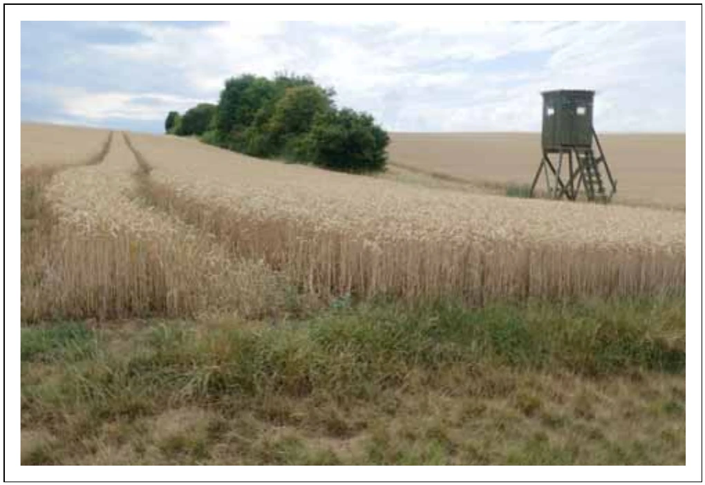 Landwirtschaftsfläche Ackerland in Dettelbach — Bild 2