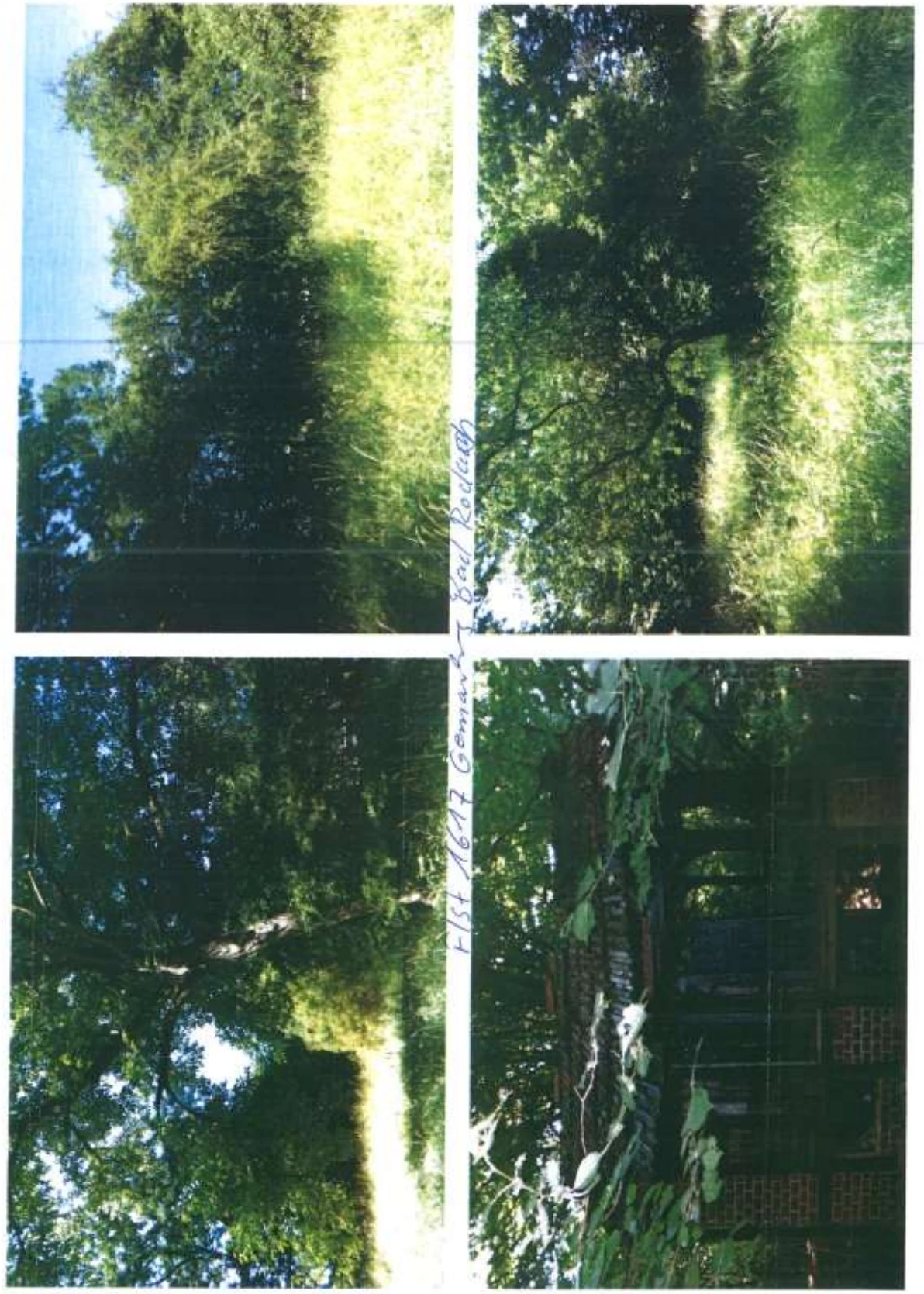 Grünland in Bad Rodach — Bild 3