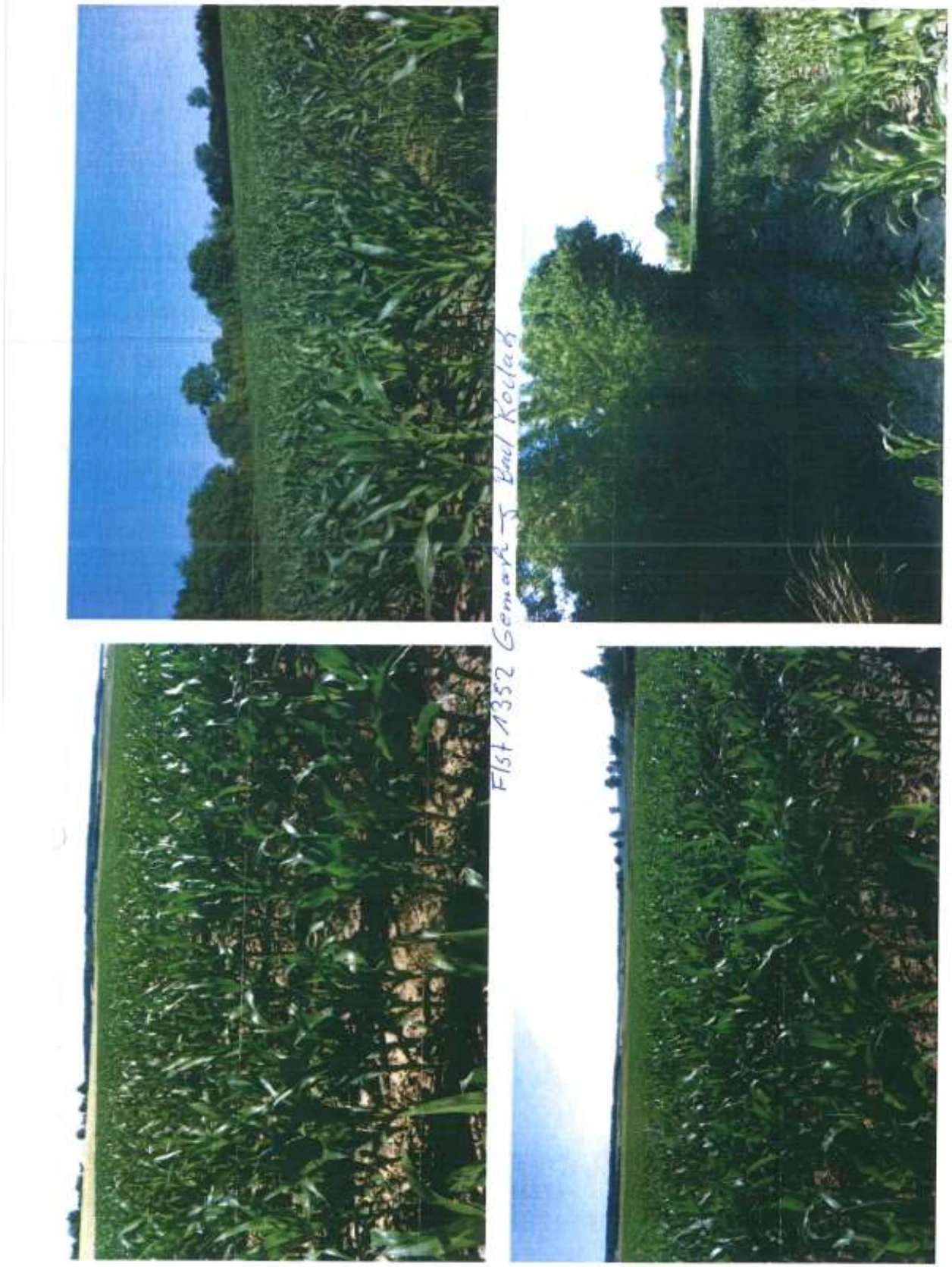 land- und forstwirtschaftlich genutztes Grundstück in Bad Rodach — Bild 3