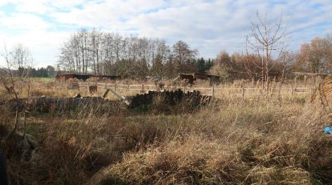 Wohn-/Geschäftshaus in Lauta — Bild 2