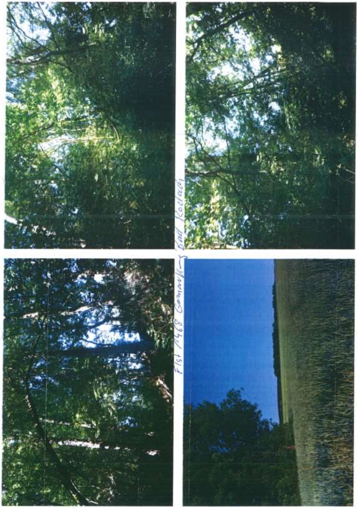 land- und forstwirtschaftlich genutztes Grundstück in Bad Rodach — Bild 2