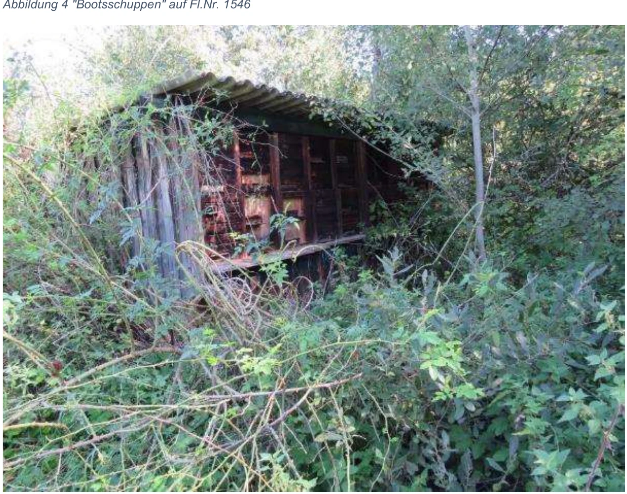 land- und forstwirtschaftlich genutztes Grundstück, unbebautes Grundstück in Strullendorf — Bild 2