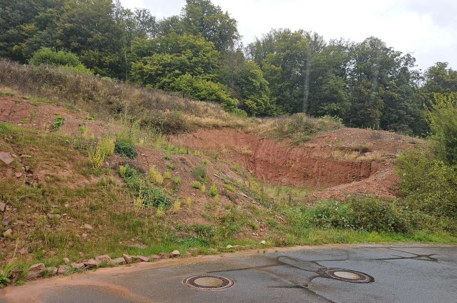 unbebautes Grundstück in Rechtenbach