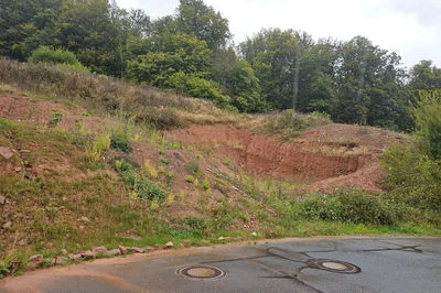 unbebautes Grundstück in Rechtenbach