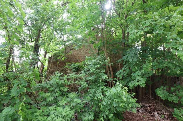 Sonstiges in Schirgiswalde-Kirschau — Bild 3