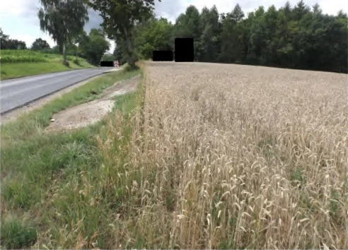 land- und forstwirtschaftlich genutztes Grundstück in Niederviehbach — Bild 2