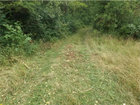 land- and forstwirtschaftlich genutztes Grundstück in Niederviehbach