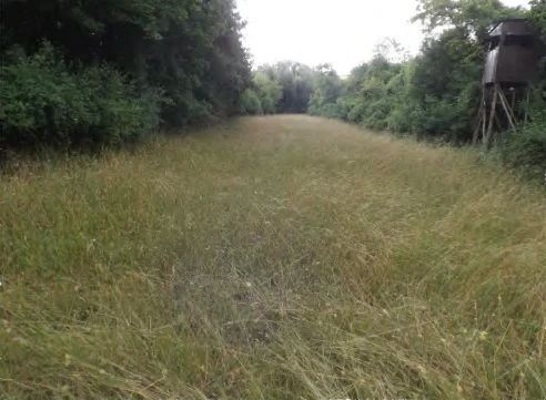 land- and forstwirtschaftlich genutztes Grundstück in Niederviehbach — Bild 2