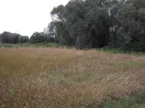 land- und forstwirtschaftlich genutztes Grundstück in Niederviehbach — Bild 3