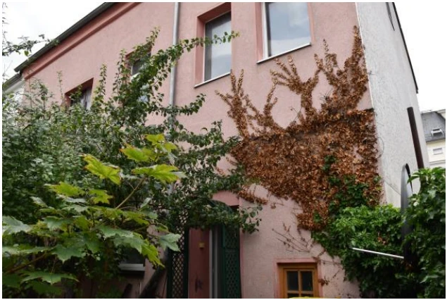 Mehrfamilienhaus in Werdau — Bild 3