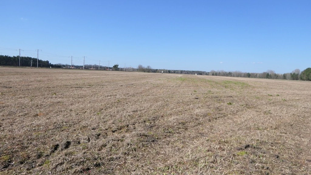 land- und forstwirtschaftlich genutztes Grundstück in Lohsa
