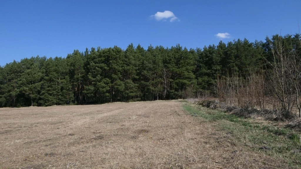 land- und forstwirtschaftlich genutztes Grundstück in Lohsa — Bild 2