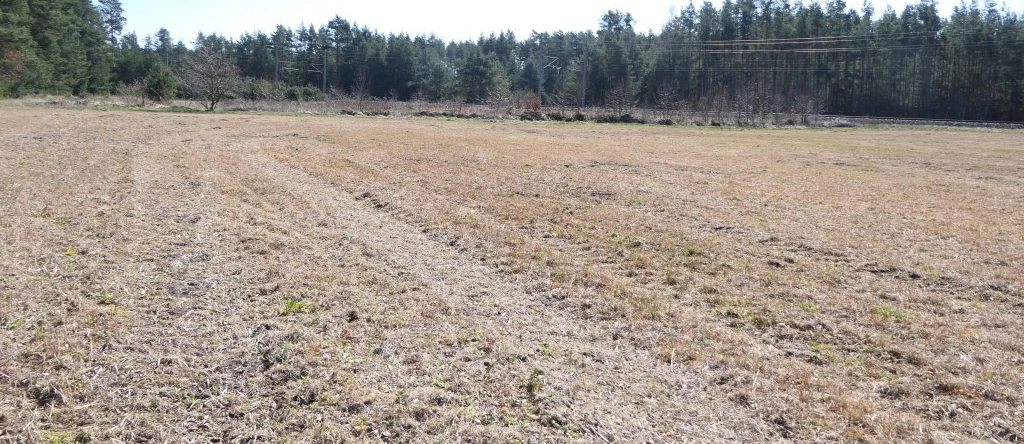 land- und forstwirtschaftlich genutztes Grundstück in Lohsa — Bild 3