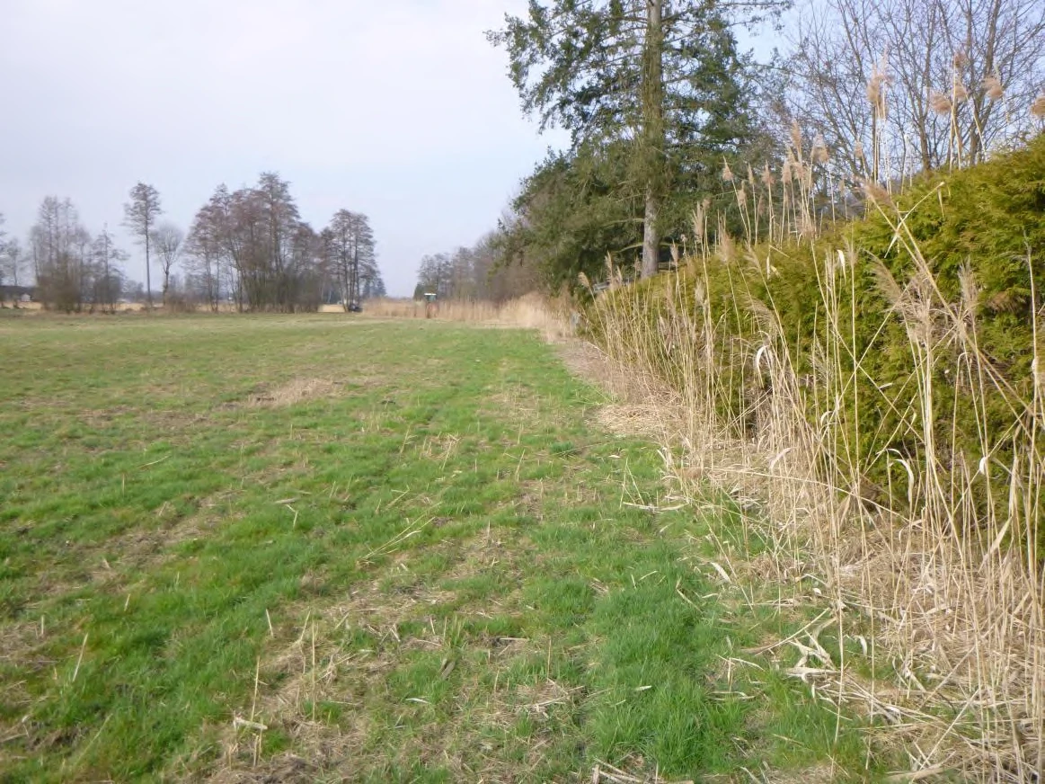 land- und forstwirtschaftlich genutztes Grundstück in  — Bild 2