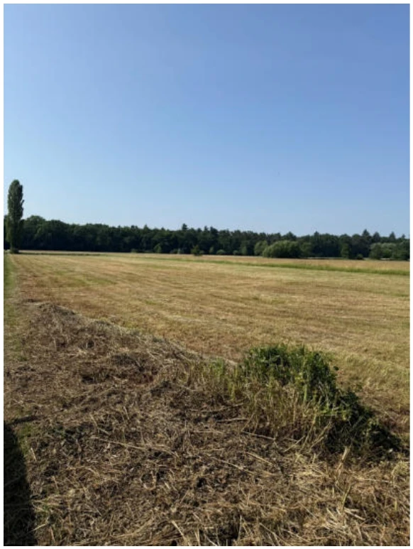 land- und forstwirtschaftlich genutztes Grundstück in Hergersweiler — Bild 3