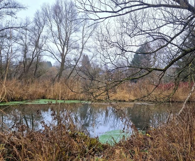 unbebautes Grundstück in Freising — Bild 2
