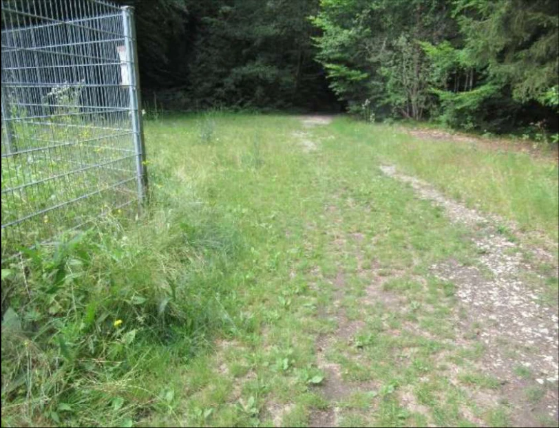 land- und forstwirtschaftlich genutztes Grundstück in Altdorf — Bild 2