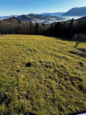 Landwirtschaftsfläche in Anger — Bild 2