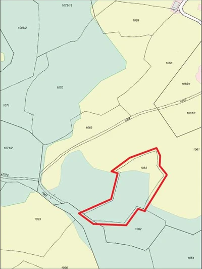 Waldfläche, Grünland in Anger