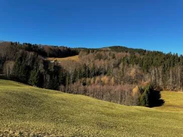 Landwirtschaftsfläche in Anger — Bild 3
