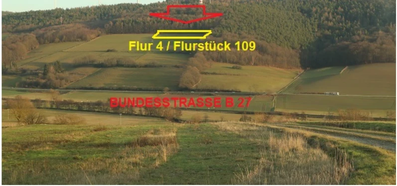 land- und forstwirtschaftlich genutztes Grundstück in Mauers — Bild 3