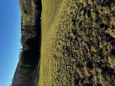Waldfläche, Landwirtschaftsfläche in Anger