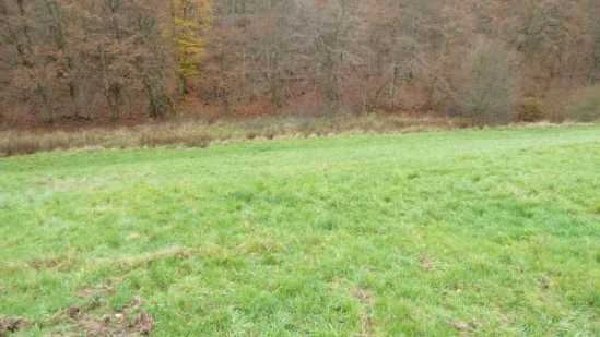 land- und forstwirtschaftlich genutztes Grundstück in Ludwigsau