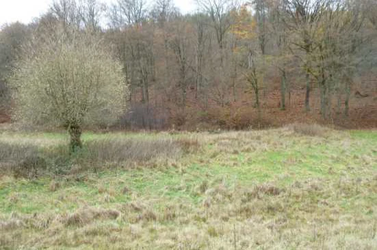 land- und forstwirtschaftlich genutztes Grundstück in Ludwigsau — Bild 3
