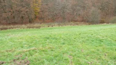 land- und forstwirtschaftlich genutztes Grundstück in Ludwigsau
