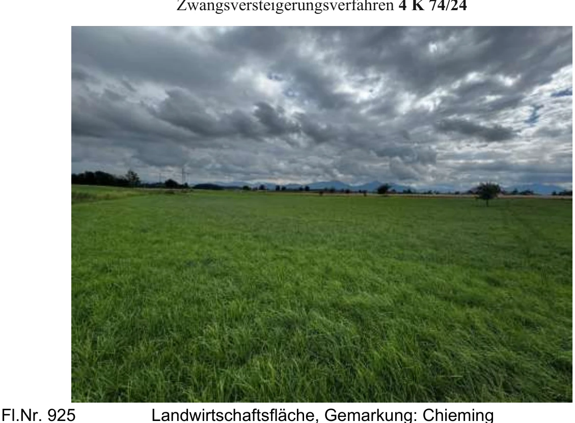 Grünland in Chieming — Bild 3