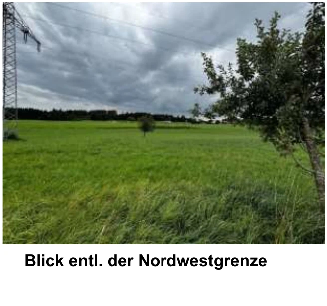 Grünland in Chieming — Bild 2