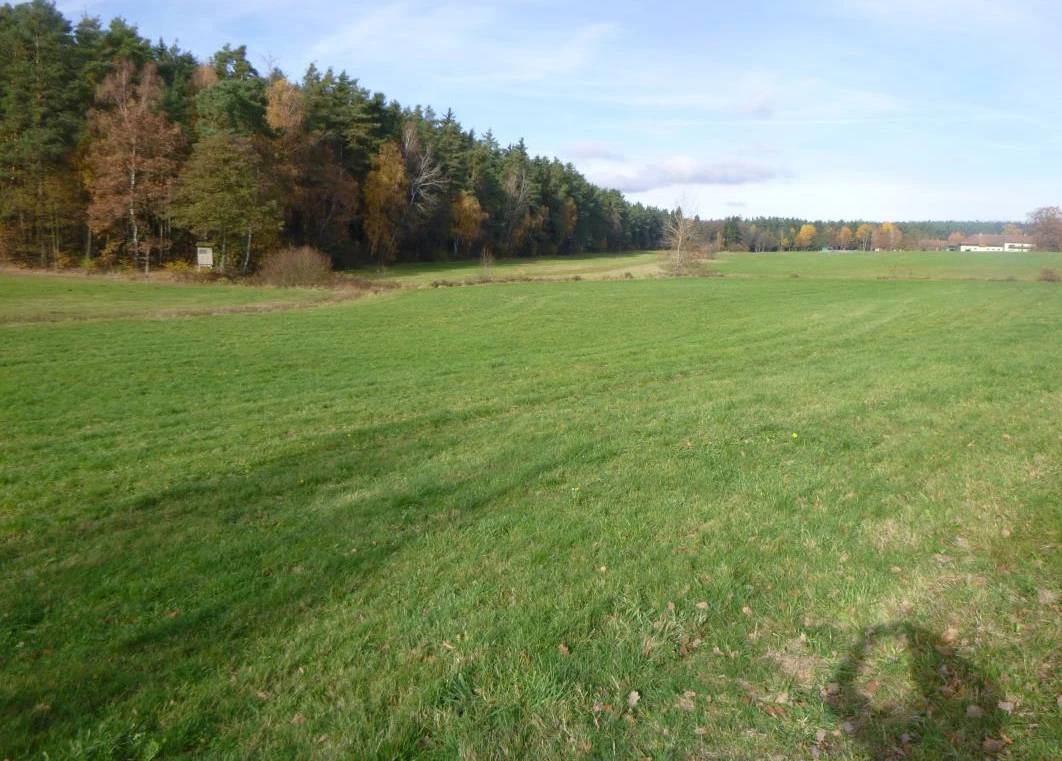 land- und forstwirtschaftlich genutztes Grundstück in Reichenbach im Vogtland — Bild 2