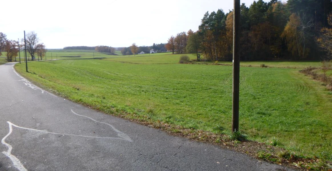 land- und forstwirtschaftlich genutztes Grundstück in Reichenbach im Vogtland — Bild 3