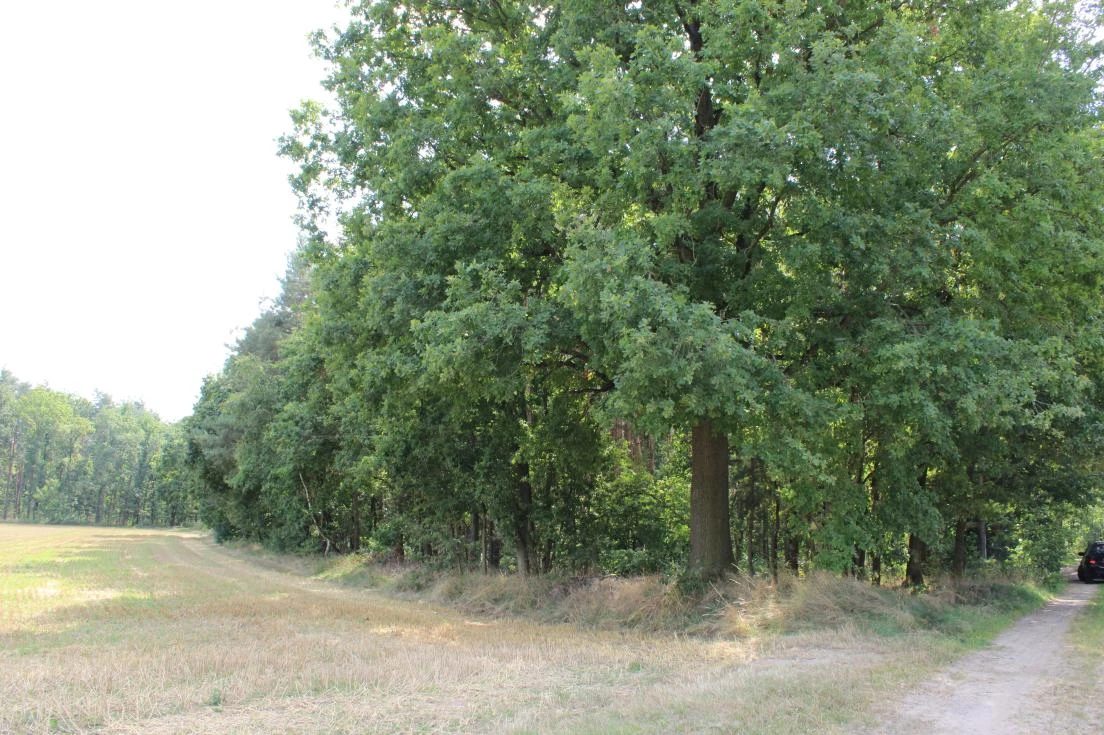 Einfamilienhaus in Haselbachtal — Bild 3