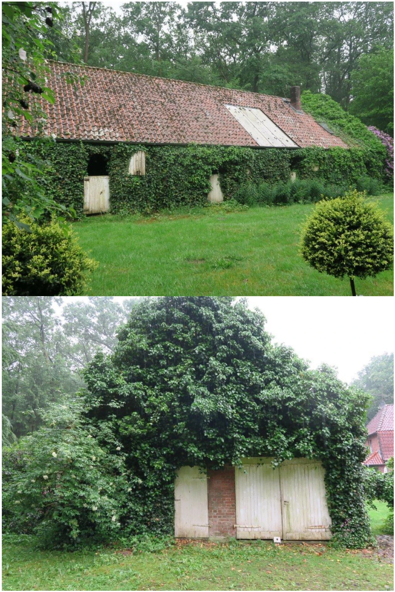 Sonstiges in Schneverdingen — Bild 3