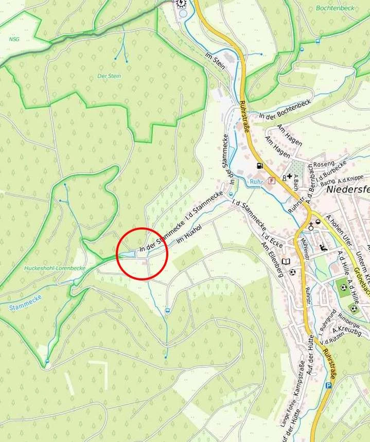 land- und forstwirtschaftlich genutztes Grundstück in Winterberg — Bild 3