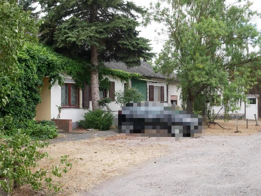 Einfamilienhaus in Frankenthal (Pfalz)