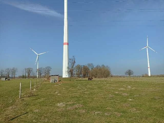 Sonstiges, Landwirtschaftsfläche in Uetze — Bild 2