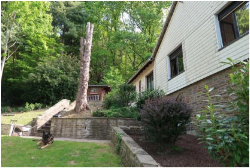 Einfamilienhaus, Waldfläche in Altena (Westf.) — Bild 2