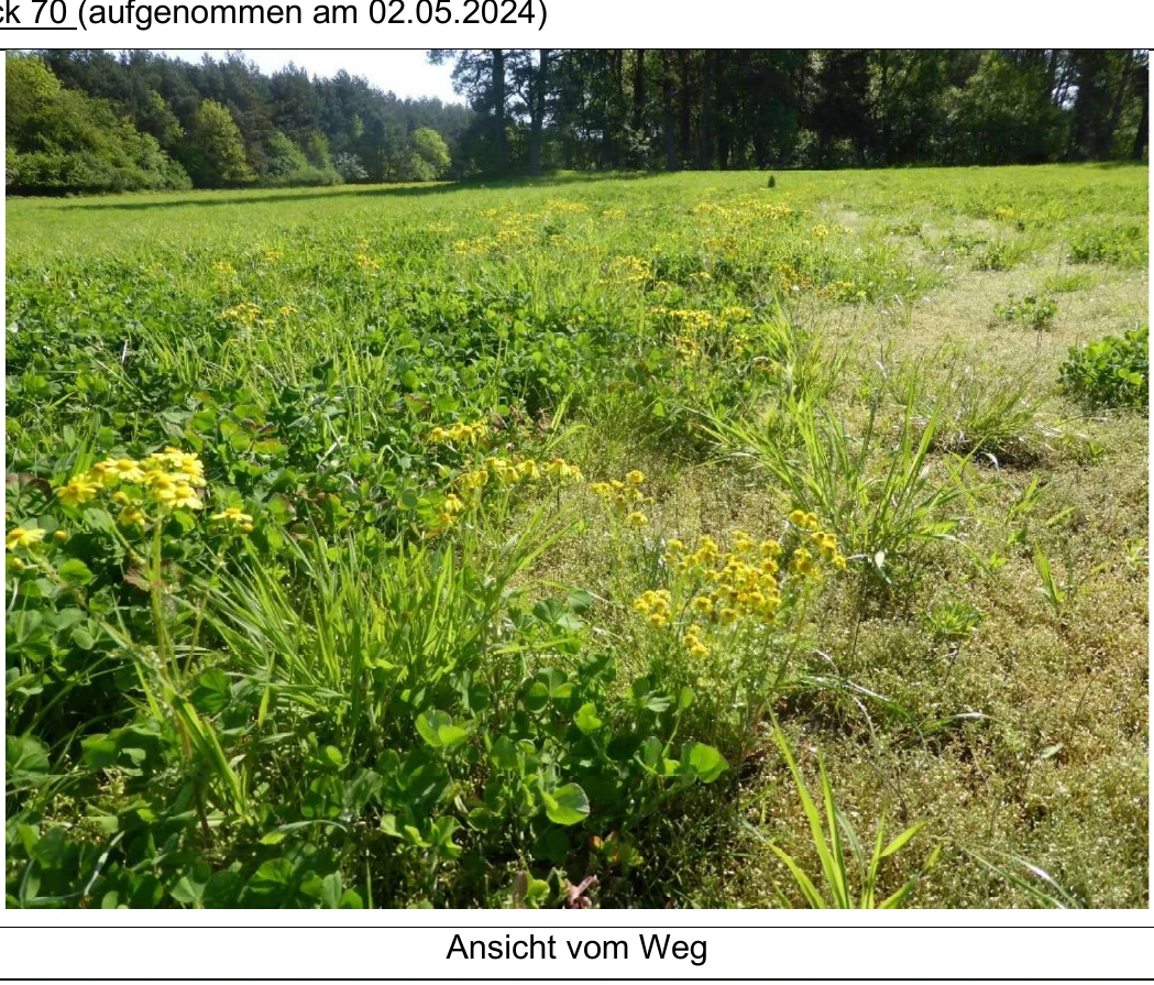 land- und forstwirtschaftlich genutztes Grundstück, unbebautes Grundstück in Heemsen — Bild 3