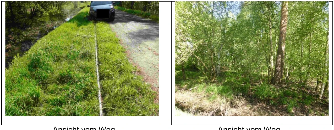 land- und forstwirtschaftlich genutztes Grundstück, unbebautes Grundstück in Heemsen — Bild 2