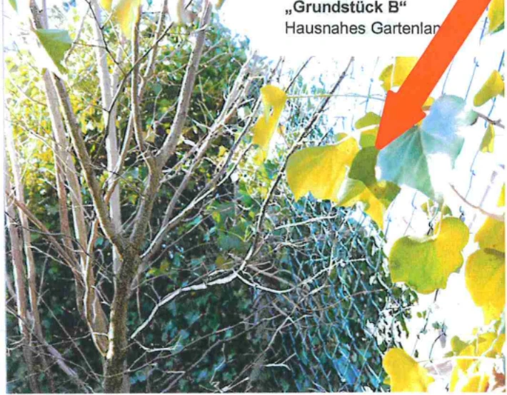 Einfamilienhaus, Gartenland in Ebersburg — Bild 2