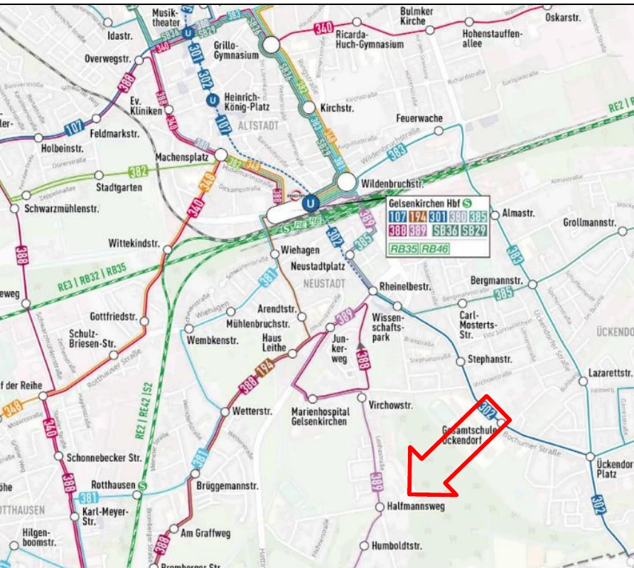 unbebautes Grundstück, bewaldet, private Verkehrsfläche, still als öffentliche Verkehrsfläche gewidmet in Gelsenkirchen — Bild 3