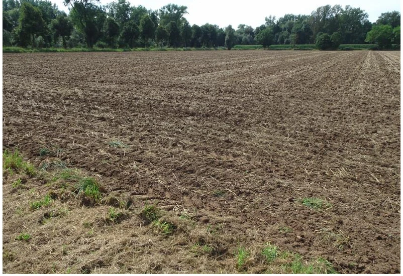land- und forstwirtschaftlich genutztes Grundstück in Katlenburg-Lindau — Bild 2