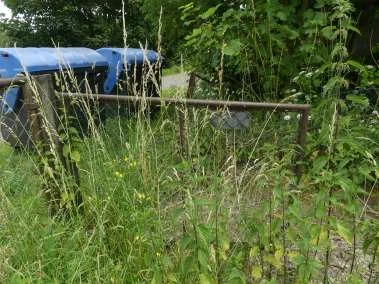 Sonstiges in Kalefeld