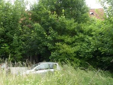 Sonstiges in Kalefeld — Bild 2