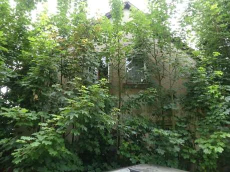 Sonstiges in Kalefeld — Bild 3