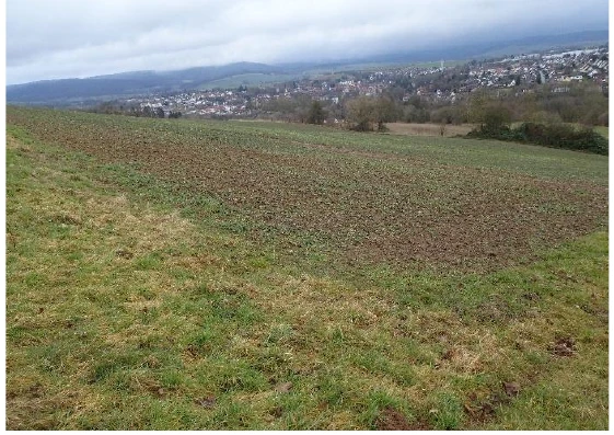 land- und forstwirtschaftlich genutztes Grundstück in Uslar — Bild 2