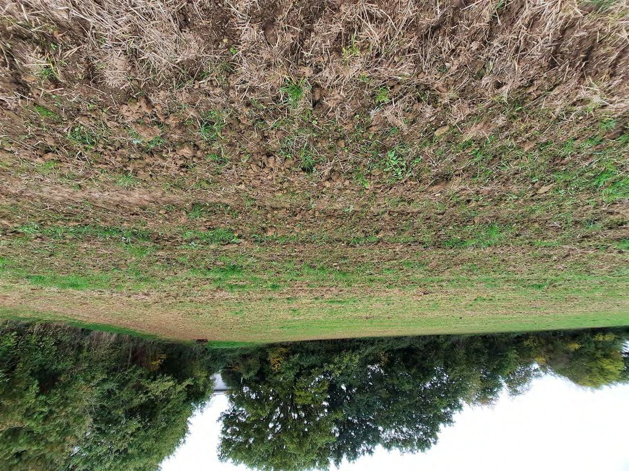 land- und forstwirtschaftlich genutztes Grundstück in Gudensberg