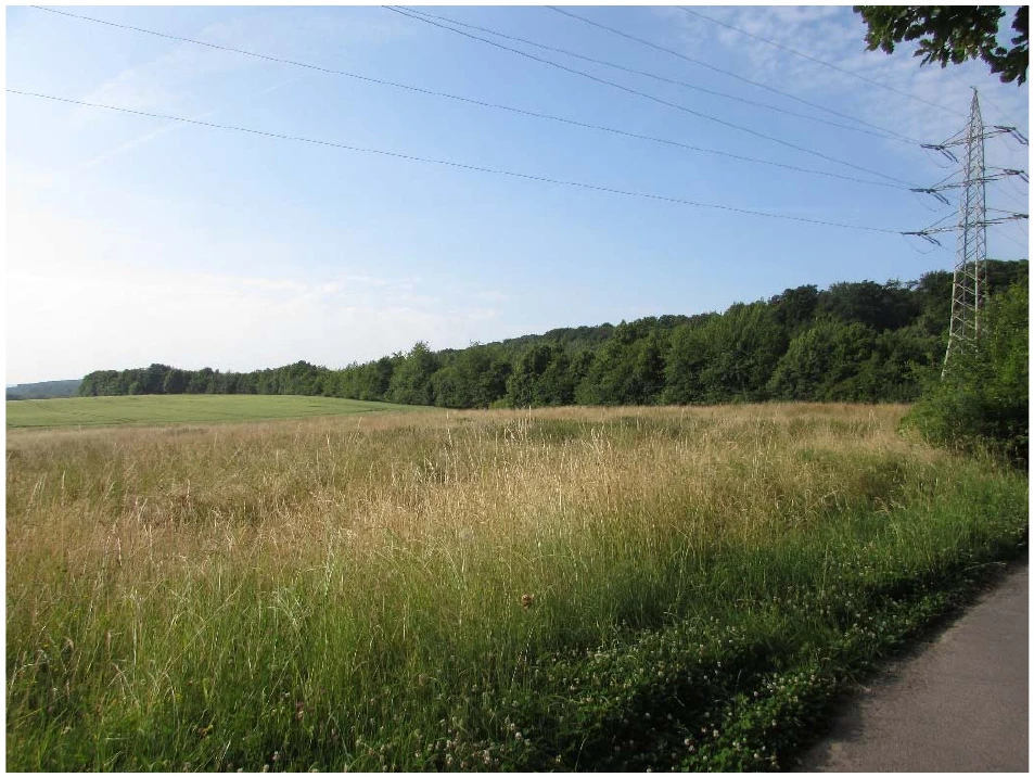 unbebautes Grundstück in Sinzig — Bild 2